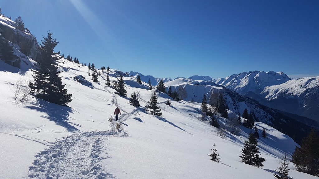 Ski Vaujany Alpe d'Huez