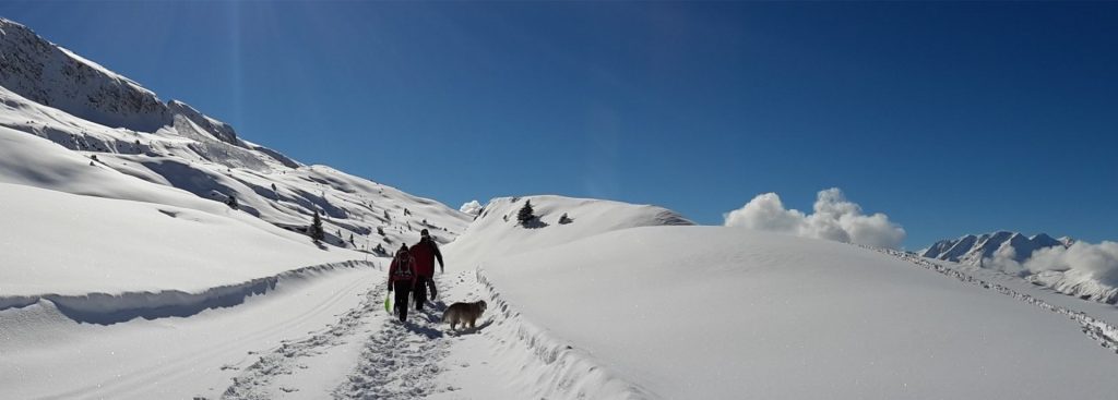 Chalet Solneige winter